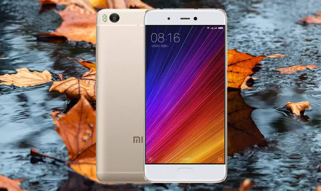 Xiaomi Mi 5s with Rain Leaf Background