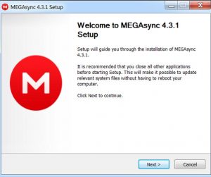 download mega sync