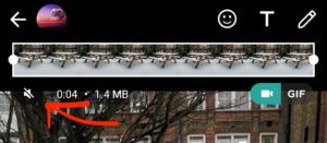 how to send mute video on whatsapp iphone